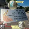 (Color Changing) Modern Peacock Stainless Steel House number plate/Rumah Nombor Plat/வீட்டு எண் view 2