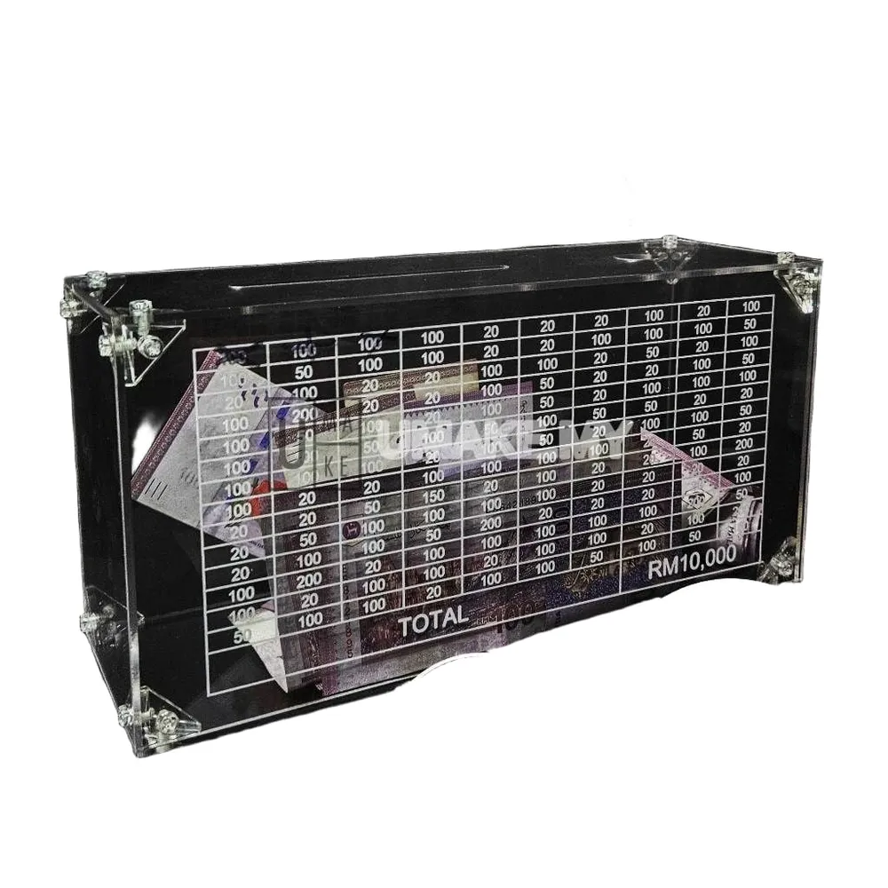 Acrylic Money Box with Counter (Large)