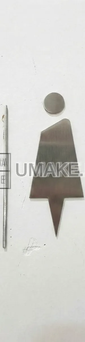 Stainless Steel Toilet Direction Sign