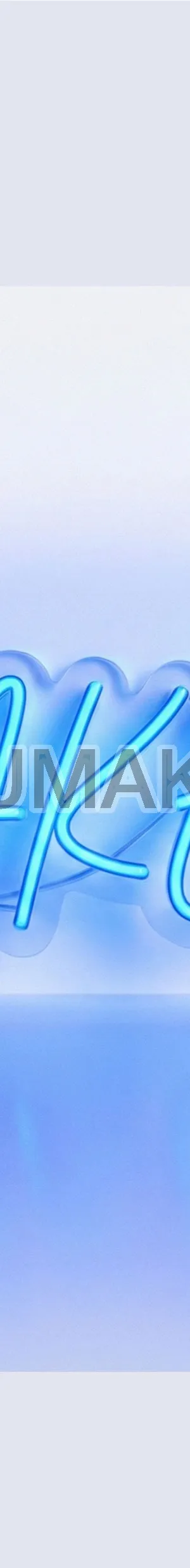 LED Neon Flex Sign