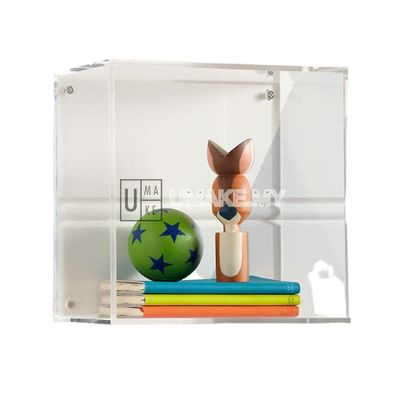 Acrylic Cube Wall Shelf