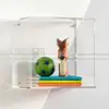 Acrylic Cube Wall Shelf view 2