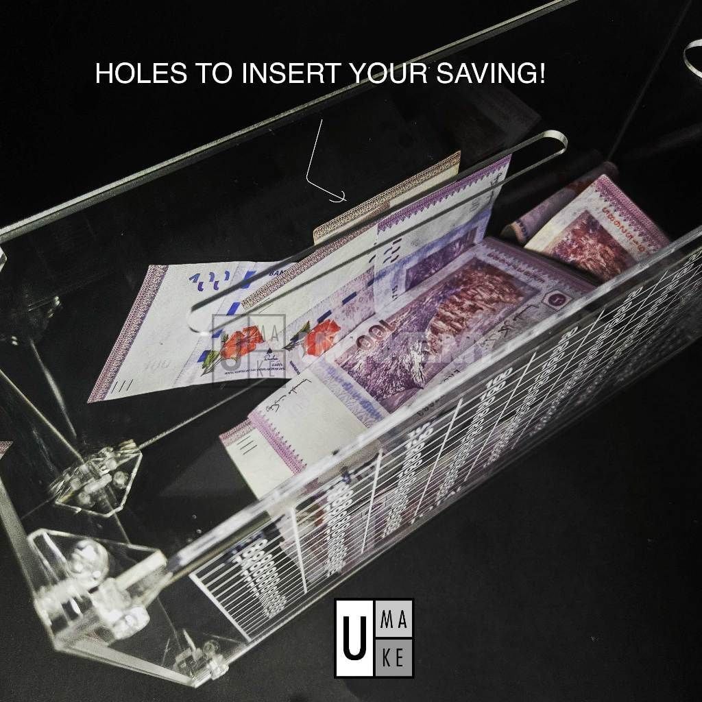 Acrylic Money Box with Counter (Large)